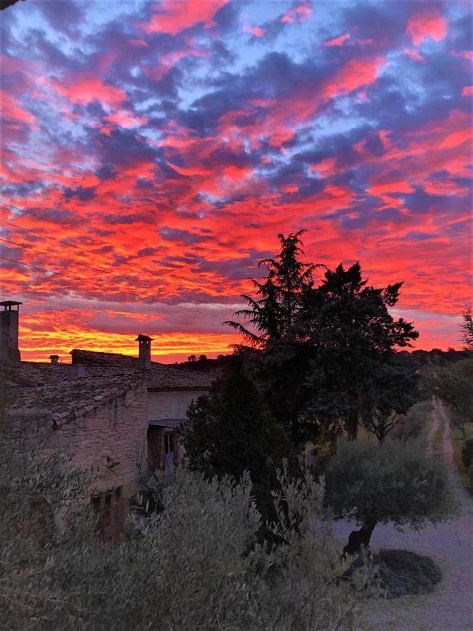 Mas De La Rivoire B&B Villevieille Dış mekan fotoğraf