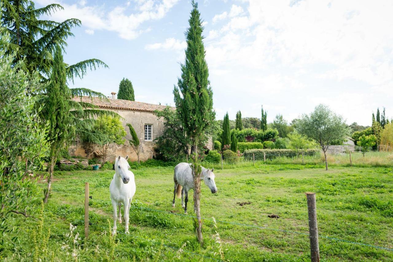 Mas De La Rivoire B&B Villevieille Dış mekan fotoğraf